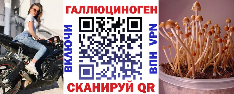 Псилоцибиновые грибы мицелий  OMG ТОР  Судак 